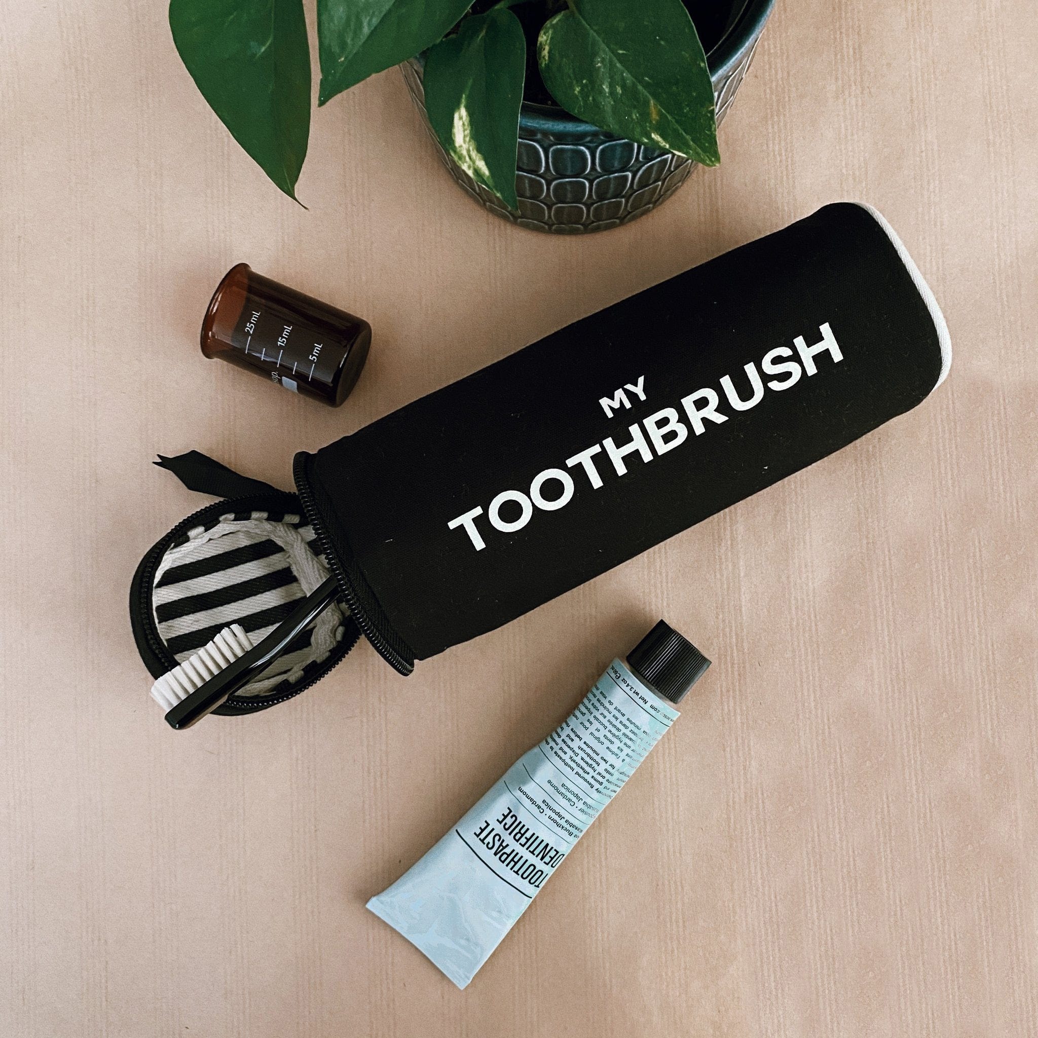 Toothbrush Travel Case – Black - Glamourous Grace