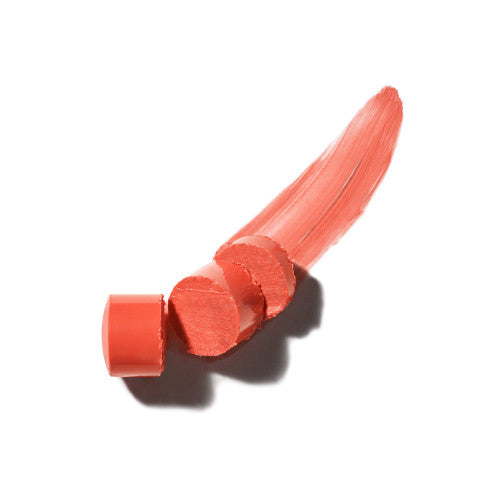 Vichy NaturalBlend Tinted Lip Care Coral