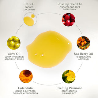 Vitamin C Body Oil - Glamourous Grace