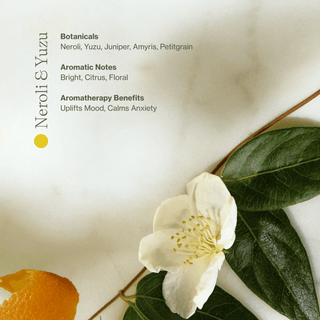 Vitamin C Body Oil - Glamourous Grace